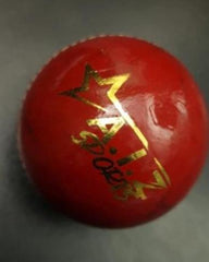 AIZ Cricket Ball Grade D (2 Piece)