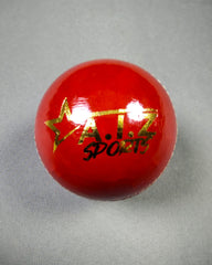 AIZ Cricket Ball Grade D (2 Piece)