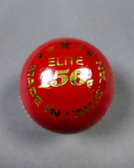 AIZ Cricket Ball Grade D (2 Piece)