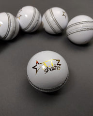 AIZ Cricket Ball Grade C (White)