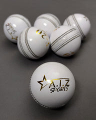 AIZ Cricket Ball Grade C (White)