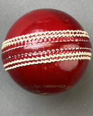 AIZ Cricket Ball Grade A