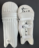 AIZ Plus Batting Pads