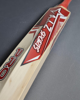 AIZ Pro Cricket Bat
