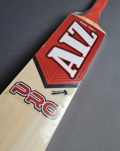 AIZ Pro Cricket Bat