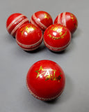 AIZ Cricket Ball Grade D (2 Piece)