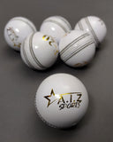 AIZ Cricket Ball Grade C (White)