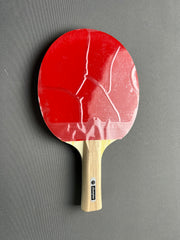 Table Tennis Racket Champion (1 Racket)