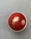 AIZ Cricket Ball Grade A