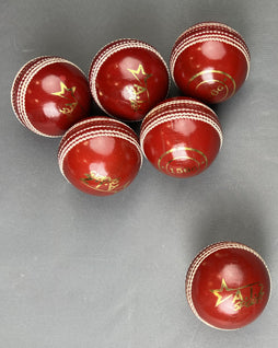 AIZ Cricket Ball Grade B